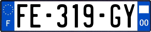 FE-319-GY