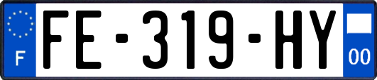 FE-319-HY