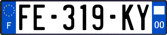 FE-319-KY