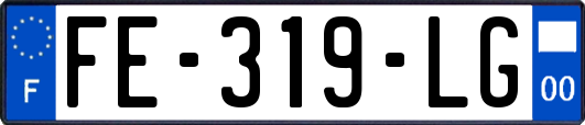 FE-319-LG