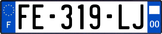 FE-319-LJ
