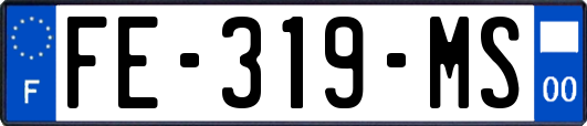 FE-319-MS