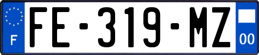 FE-319-MZ