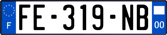 FE-319-NB