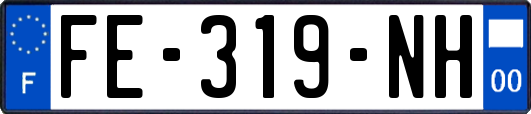 FE-319-NH