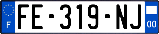 FE-319-NJ