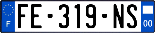 FE-319-NS