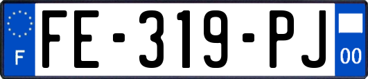 FE-319-PJ