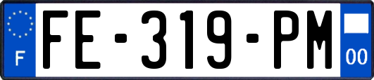 FE-319-PM