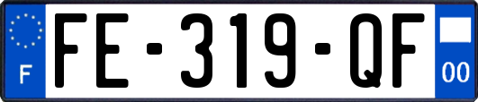 FE-319-QF