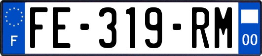 FE-319-RM