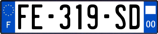 FE-319-SD