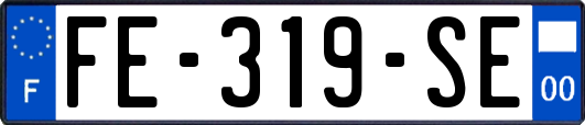 FE-319-SE