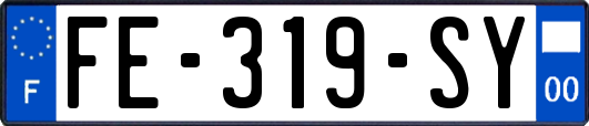 FE-319-SY