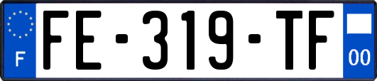 FE-319-TF