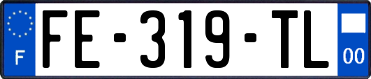 FE-319-TL