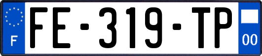 FE-319-TP
