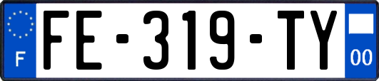 FE-319-TY
