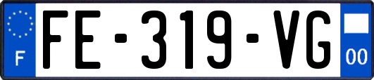 FE-319-VG