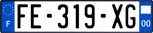 FE-319-XG