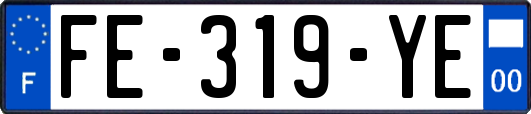 FE-319-YE