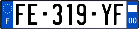 FE-319-YF