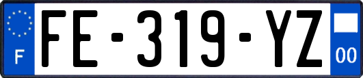 FE-319-YZ