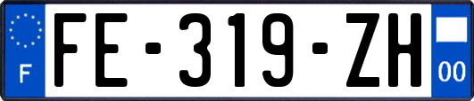 FE-319-ZH