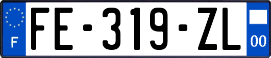 FE-319-ZL