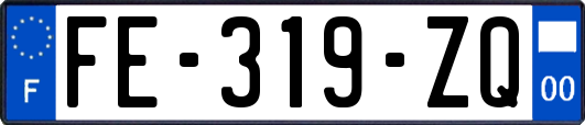 FE-319-ZQ