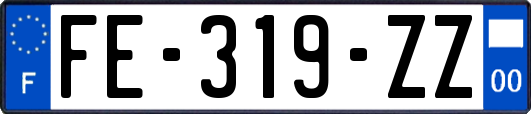 FE-319-ZZ