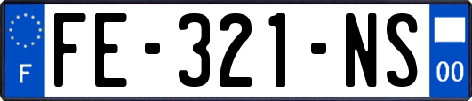 FE-321-NS