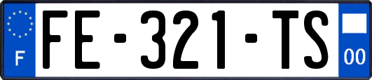 FE-321-TS