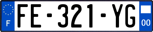 FE-321-YG