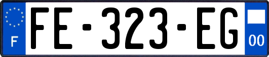 FE-323-EG