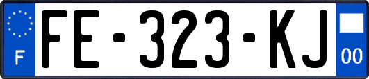 FE-323-KJ