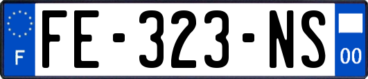 FE-323-NS