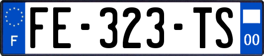 FE-323-TS