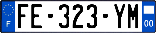 FE-323-YM