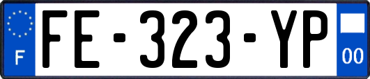 FE-323-YP