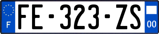 FE-323-ZS