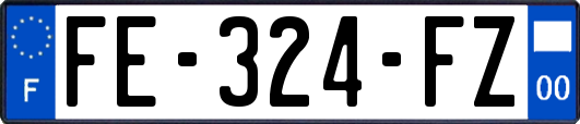 FE-324-FZ