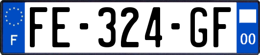 FE-324-GF