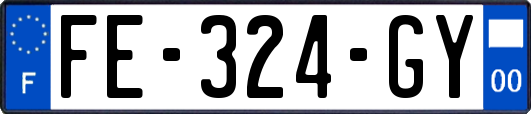 FE-324-GY