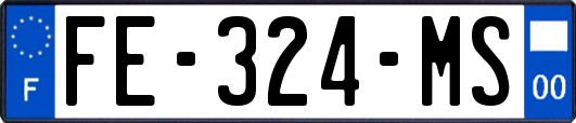 FE-324-MS