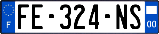 FE-324-NS