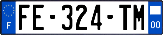 FE-324-TM