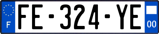 FE-324-YE