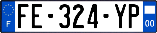 FE-324-YP