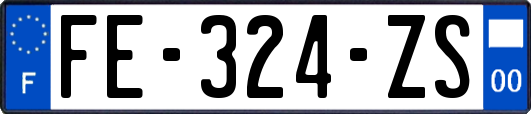 FE-324-ZS